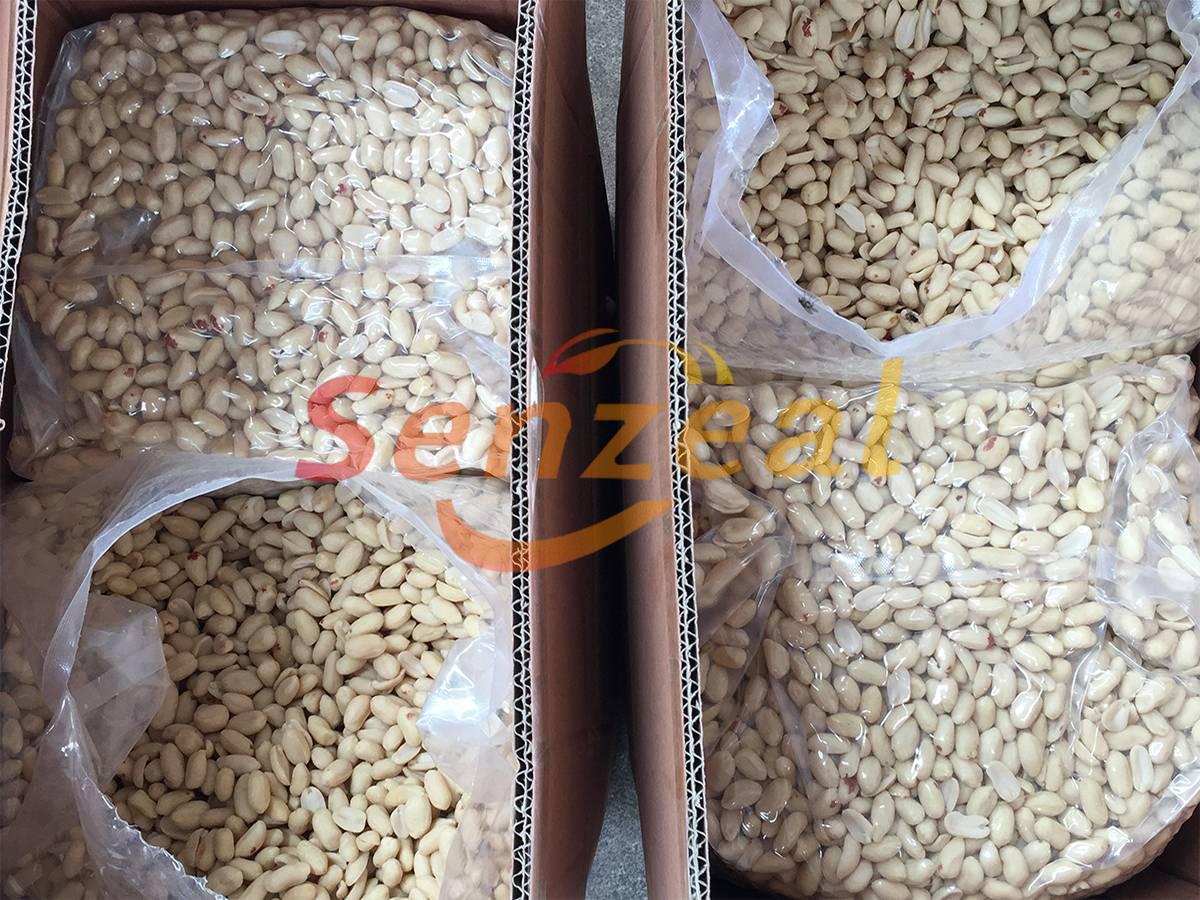 Blanched Peanut Kernels